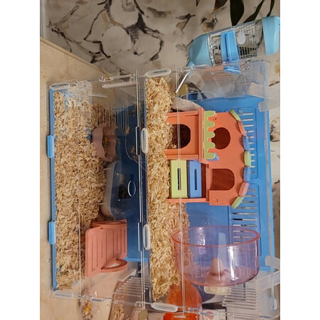 用后点评茨格曼cgm-6销量如何？使用一周经验分享！