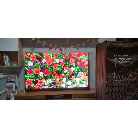 雷鸟鹤6pro和tcl v8g哪款好一些-雷鸟鹤6pro和tcl v8g哪款更值得入手一些_http://www.itswebtime.com_好物推荐_第11张