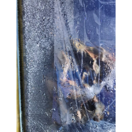 参考说说疯狂水草（crazy aquatic plant）造景装饰值不值的买，图文评测详情