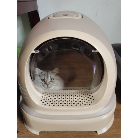 解疑体验美卡美卡 特大号机器猫猫砂盆揭秘质量好不好，这个值得入手吗
