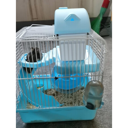 真实评测威毕鼠类用品使用感受分享，揭秘广告背后的真相