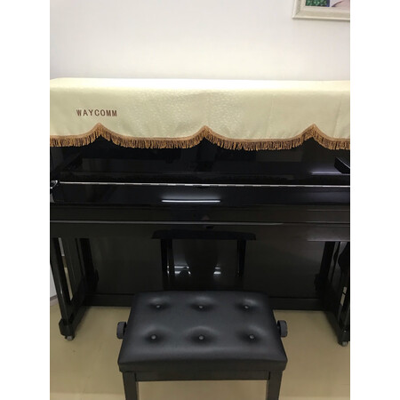 珠江dp118s和up118哪个好-珠江dp118s和up118深度对比_http://www.tuijianxing.com_好物_第5张