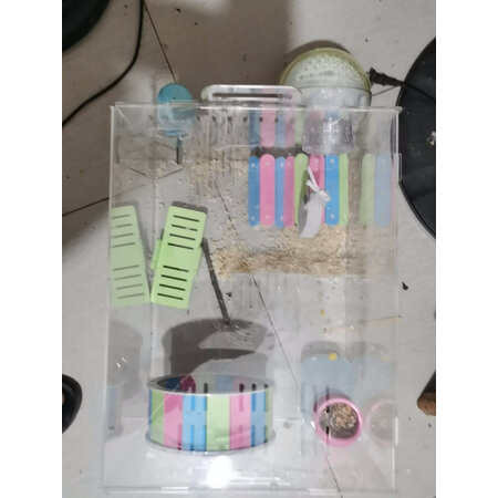 说说真实使用加卡（ja-kal）鼠类用品值不值的买？不看后悔使用评测到底如何！