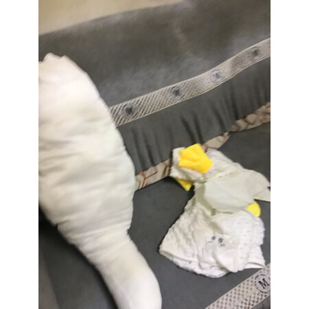 入手体验测评爱彼爱（Aybiay）婴童枕芯/枕套评测怎么样，口碑反馈解密真相