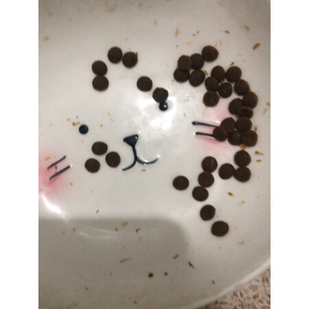 简单体验感受江小傲无谷全价鲜肉猫粮质量靠谱不？优缺点揭秘必看！