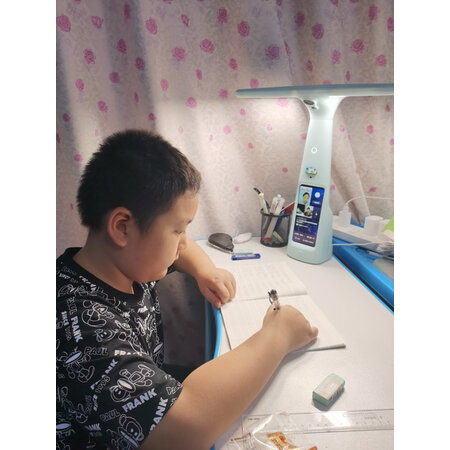 用户感受大力智能作业灯t6和t6pro有啥区别？哪款更好？评测爆料真心话