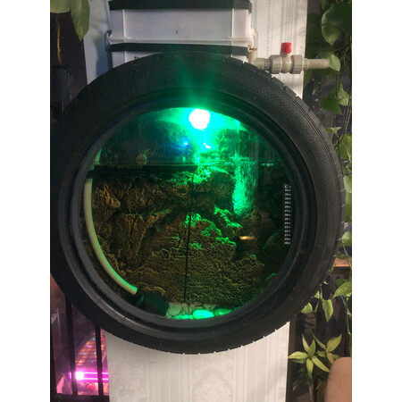 反馈爆料kocotreeKQ15296值不值的买，半年使用感受