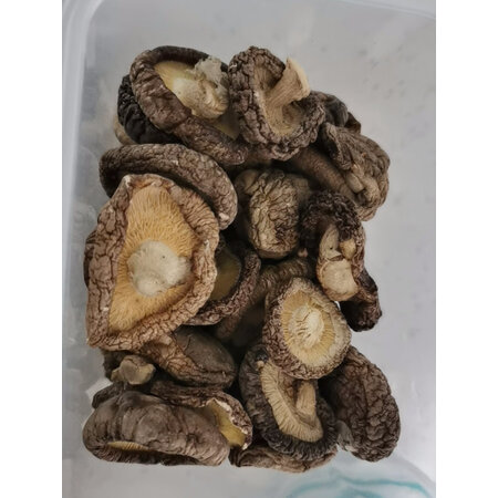 简单体验感受八荒原色银耳 白木耳 古田银耳参数配置优缺点，网上正品多吗，真实评测曝光