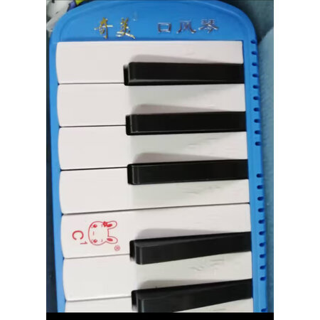 评测体验感受奇美口风琴可以买不，真相曝光全面分析