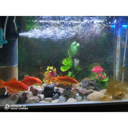 你们觉得宠翰XGD-900谁用过没有呢？曝光体验者真实评价！