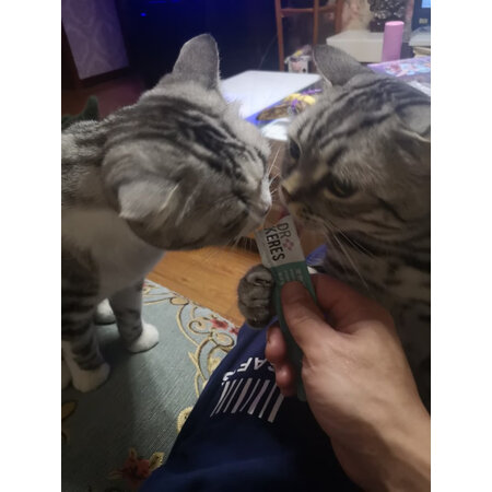 深度知道凯锐思鱼肉条20支+鸡肉条10支质量真的好吗，求助专业评测