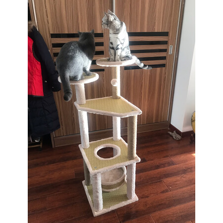 点评体验感受猫主义MZY-XMMPJ值得入手吗？良心点评实际情况！
