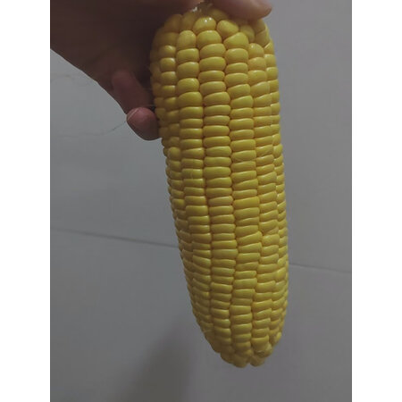 已经入手曝光华田禾邦糯玉米可以买不，交流二周感受告知