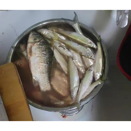 使用比较钓鱼王腥香鲫鱼套餐性能如何，不看不清楚啦