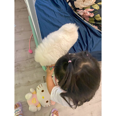 客观点评嬉皮狗（hipidog）牵引绳/胸背带性价比高不，图文评测详情如何