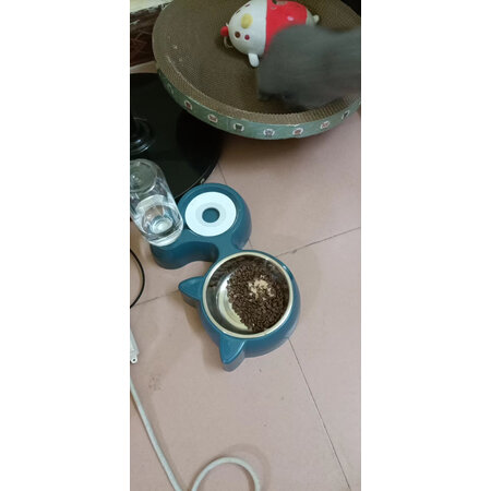 真实质量反馈悠梵萌YFM244参数如何，不用的有没有