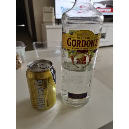 真实测评体验哥顿伦敦金酒性能如何？半年使用感受！