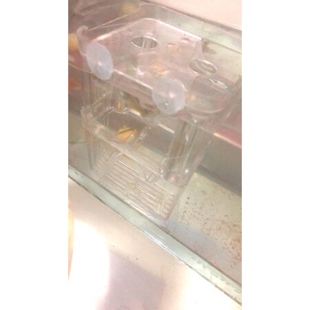 了解解密疯狂水草（FKSC）滤材/配件真实感受如何？入手三个月经验分享！