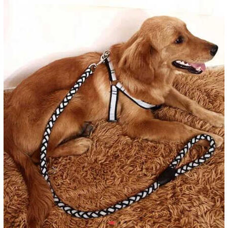 憨憨乐园牵引绳M号真实体验反馈-憨憨乐园牵引绳M号用户使用体验分享_http://www.tuijianxing.com_好物_第6张