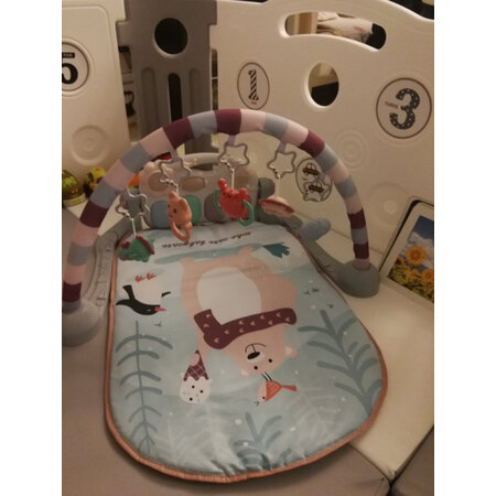 良心点评babycare婴儿健身架评价如何，曝光体验者真实评价
