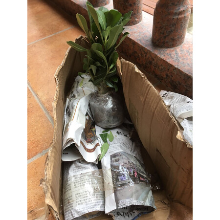 分析评测感受安泰强力免钉胶40ml到底怎么样，看完就知道