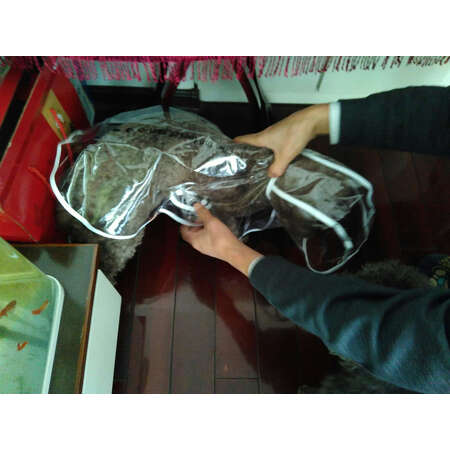 网友体验华元宠具（hoopet）宠物鞋服值不值得买，说说一个月真相分享