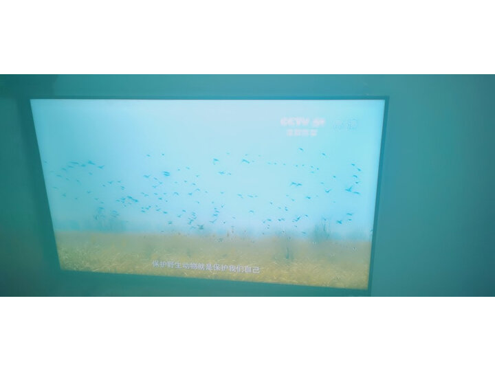 海信hz65e8a和65e8d哪款更好-海信hz65e8a和65e8d全面比较与分析_http://www.tuijianxing.com_好物_第13张