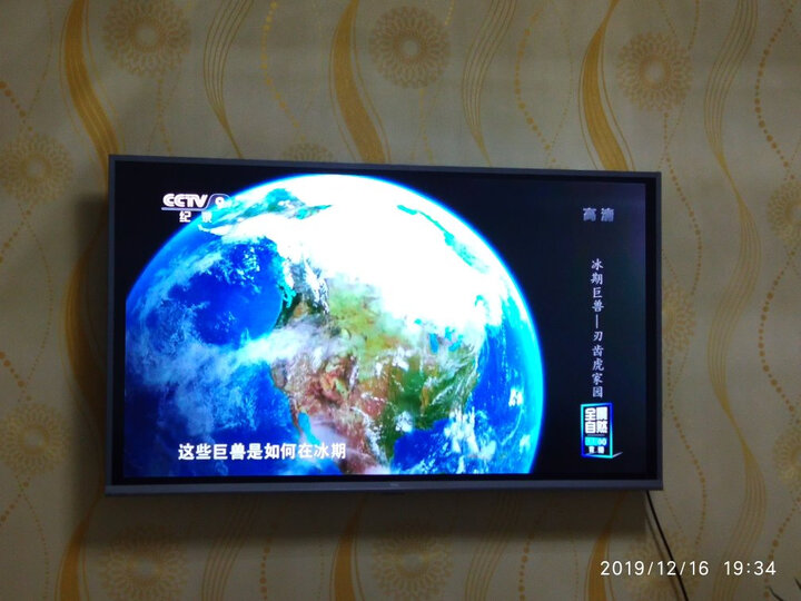 请问奥克斯淑女和阿波罗哪个好？比较有区别吗？