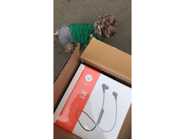 小鸟音响Track怎么样-小鸟音响Track真实用户使用评价_http://www.meifudie.com_好物_第6张