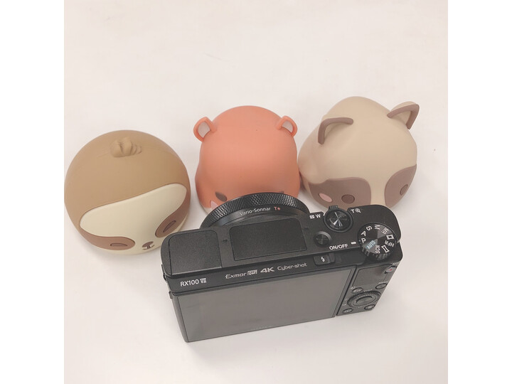 索尼（SONY）DSC-RX100M6 黑卡数码相机好不好啊？质量内幕媒体评测必看 电商资讯 第11张