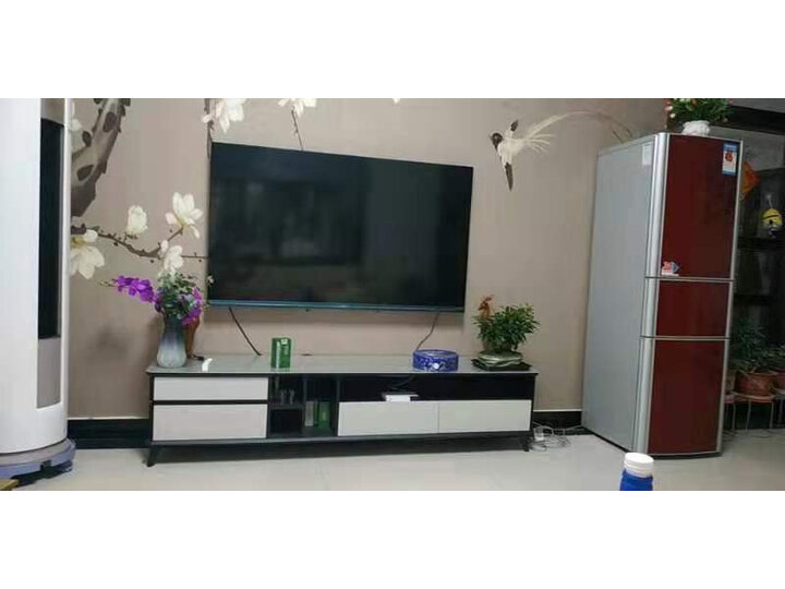 感受VIDAA65V1F怎么样呢？优缺点测评真的好吗？