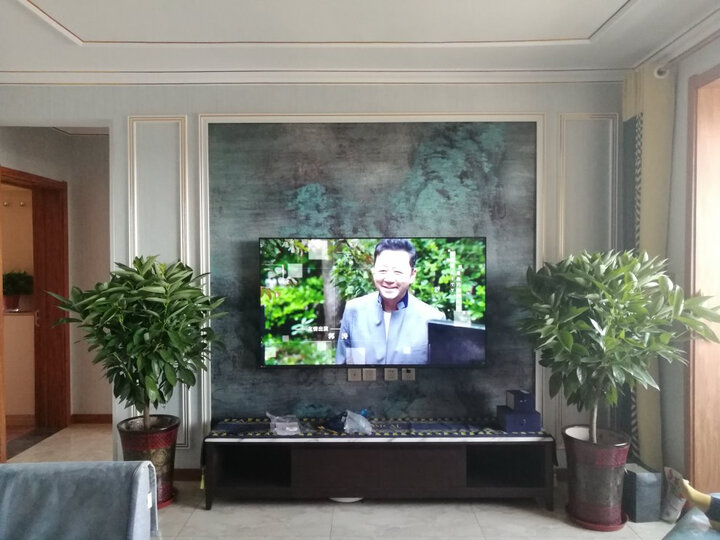 TCL 65Q680 65英寸液晶电视机怎么样？最新优缺点评测【猛戳查看】 首页推荐 第5张