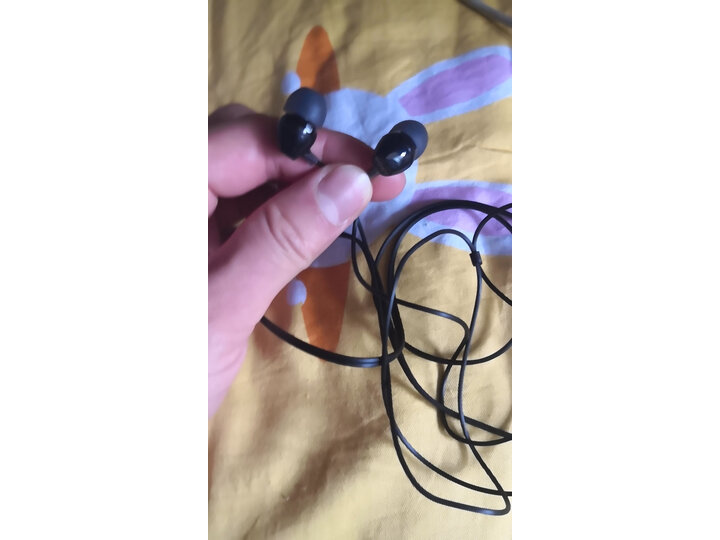 说说索尼mdr-ex15lp和ap哪个好？测评有区别吗？