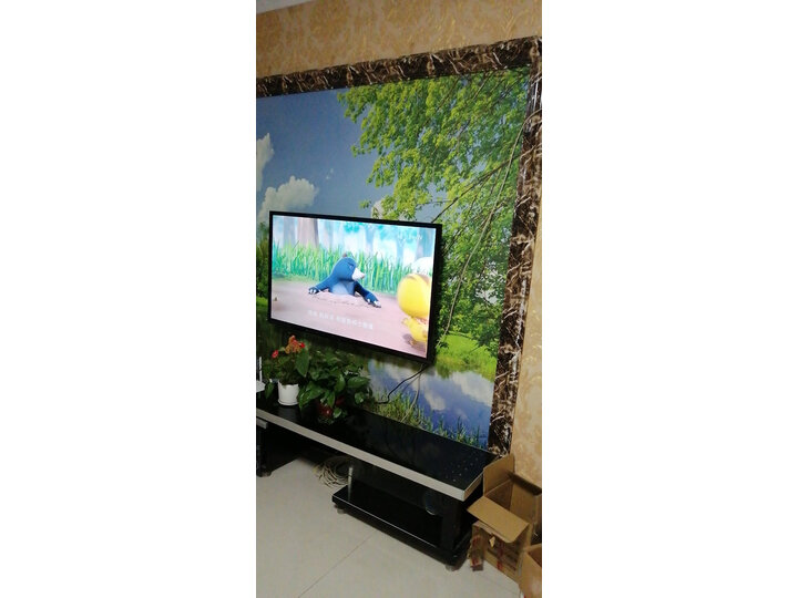 tcl55l680和小米554a哪个好些-tcl55l680和小米554a深度对比_好物推荐_第7张_itswebtime tcl55l680和小米554a哪个好些-tcl55l680和小米554a深度对比_http://www.itswebtime.com_好物推荐_第7张