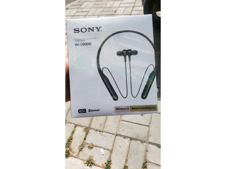 解密索尼wi-c600n与wih700有区别吗？评测哪个好？