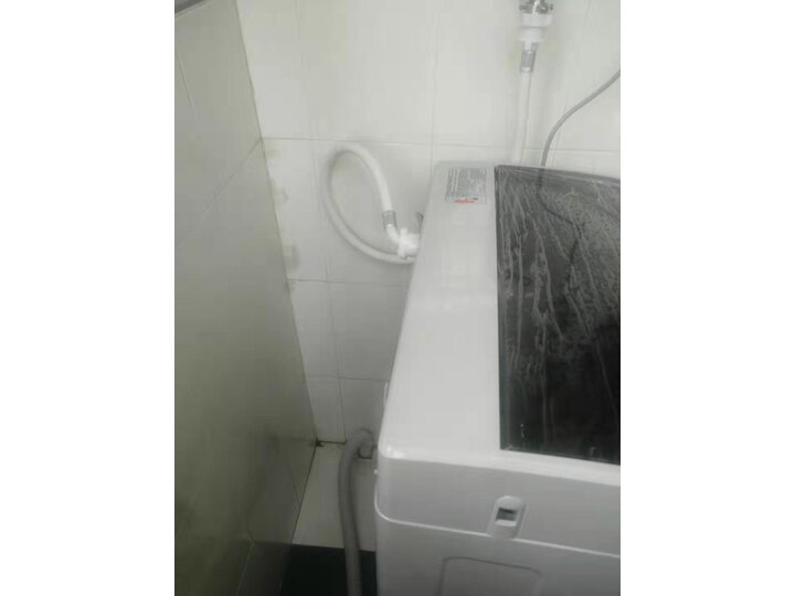 TCLXQB80-36BSP怎么样-TCLXQB80-36BSP性能表现如何_http://www.tuijianxing.com_好物_第12张