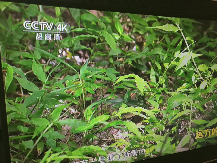 创维小湃盒子Max 智能网络电视机顶盒新款评测怎么样啊？？好不好，质量到底差不差呢？ 首页推荐 第6张