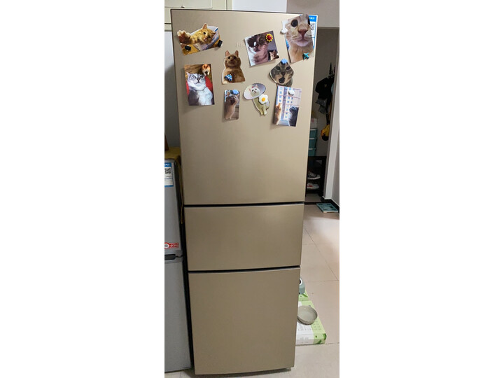 海信 (Hisense) 220升三开门小冰箱BCD-220D-Q怎么样？质量合格吗？内幕求解曝光 首页推荐 第3张
