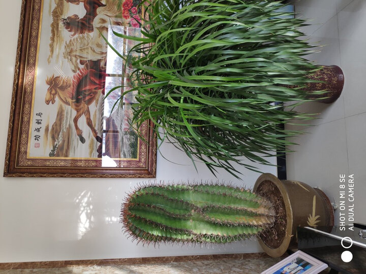 新飞BCBD-323HD1A怎么样-新飞BCBD-323HD1A性能表现如何_http://www.tuijianxing.com_好物_第8张