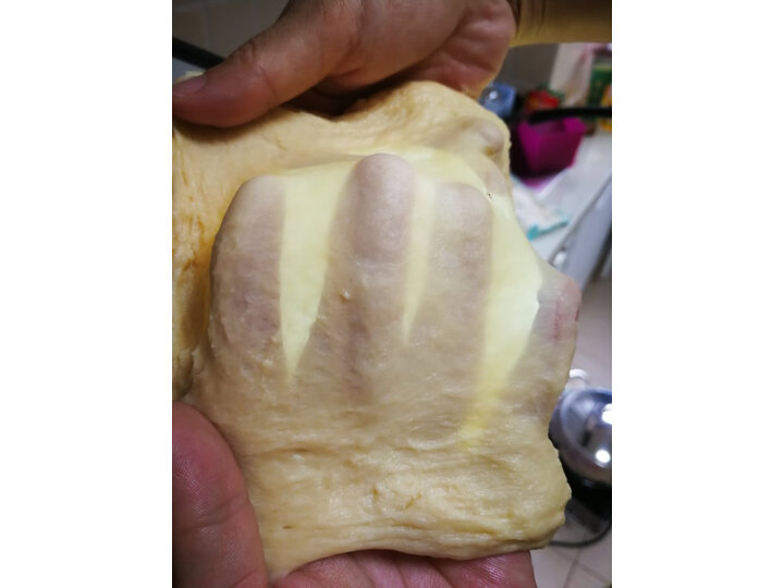 【德国品牌】德玛仕（DEMASHI）厨师机全自动 揉面机和面机【6L铸铝款】怎么样【值得买吗】优缺点大揭秘 首页推荐 第6张
