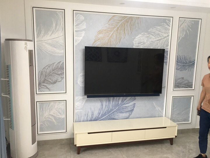 TCL 65Q10 65英寸 原色量子点教育平板电视怎么样？好不好，优缺点区别有啥？ 首页推荐 第9张