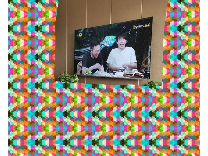 TCL 65V8 65英寸液晶电视机对比测评怎么样【猛戳分享】质量内幕详情 首页推荐 第10张