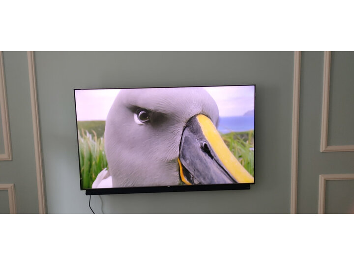 TCL 65Q10 65英寸 原色量子点教育平板电视怎么样？好不好，优缺点区别有啥？ 首页推荐 第6张