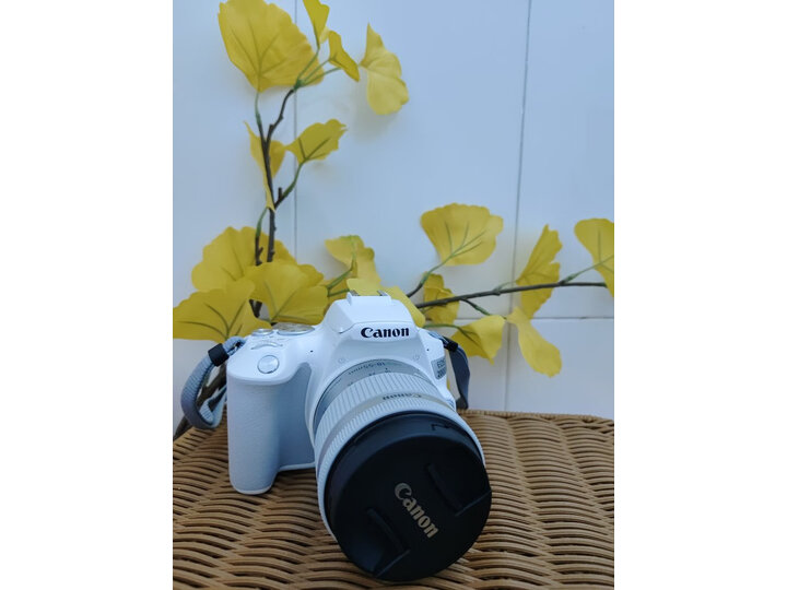 值得珍惜：佳能（Canon）EOS 200D2 单反相机真的好吗，深度剖析曝光 心得分享 第6张
