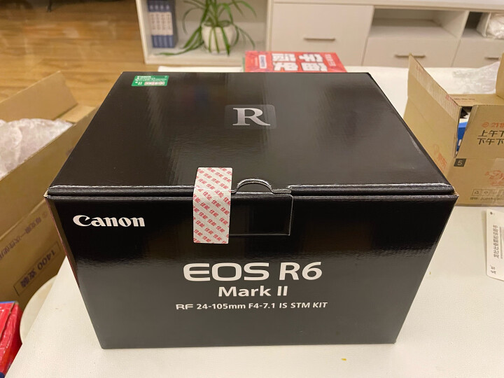 【真實曝光】佳能（Canon）EOS R6 Mark II R6二代微单相机好用哪个好？评测内幕详解分享 心得分享 第4张