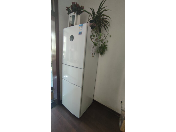 美的家用电冰箱MR-283WTPZE评价很差吗？使用感受反馈如何 心得分享 第4张