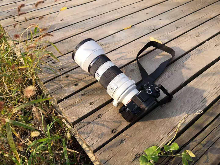 【质量众测揭秘】索尼（SONY）FE 70-200mm F4 G OSS 全画幅远摄变焦微单相机比较测评怎么样？？性价比高吗，深度评测揭秘 首页推荐 第8张
