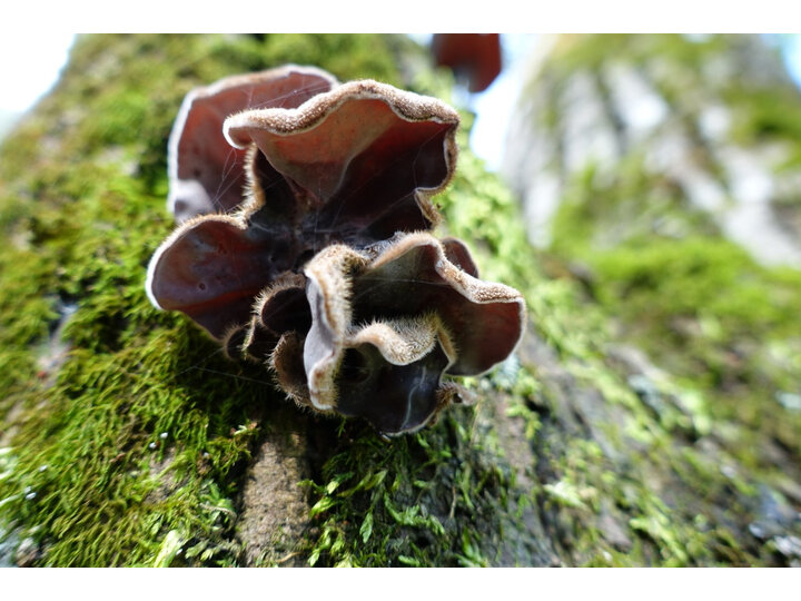 索尼RX100  M3怎么样-索尼RX100  M3真实用户评价分享_http://www.tuijianxing.com_好物_第9张