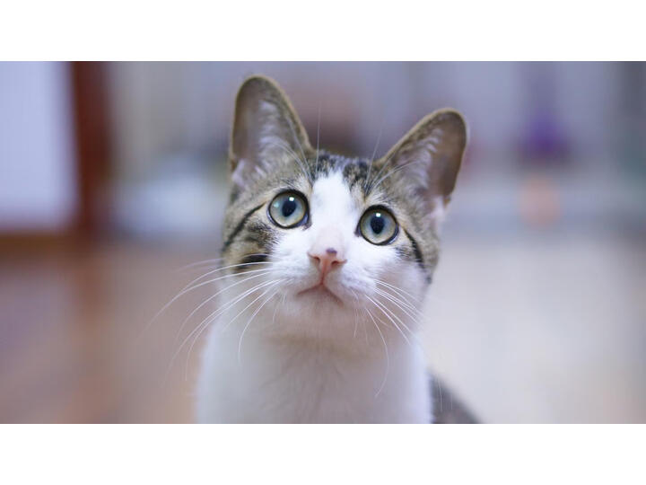 索尼SEL35F18怎么样-索尼SEL35F18真实用户使用评价_http://www.meifudie.com_好物_第15张