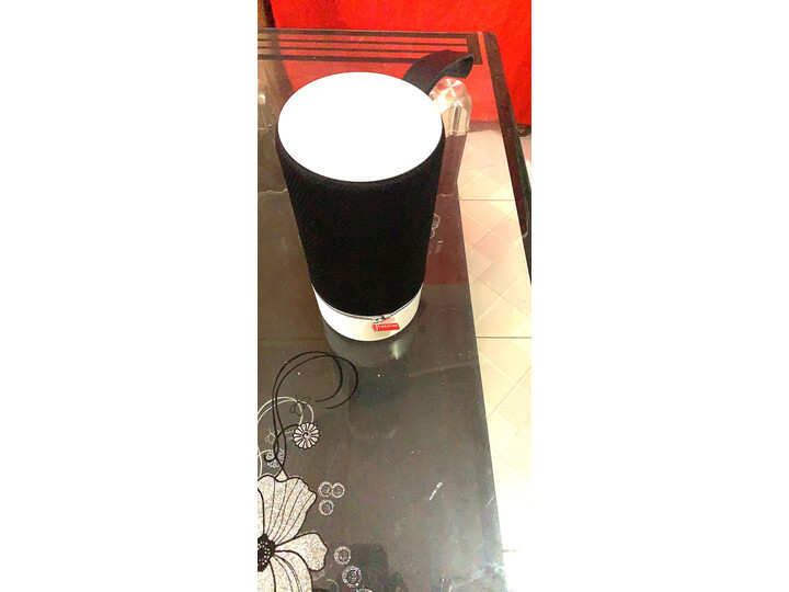 评价小鸟音响zipp2对比mini2哪个好？感受有什么区别？